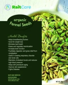 Fennel Seeds