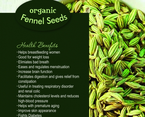 Fennel Seeds