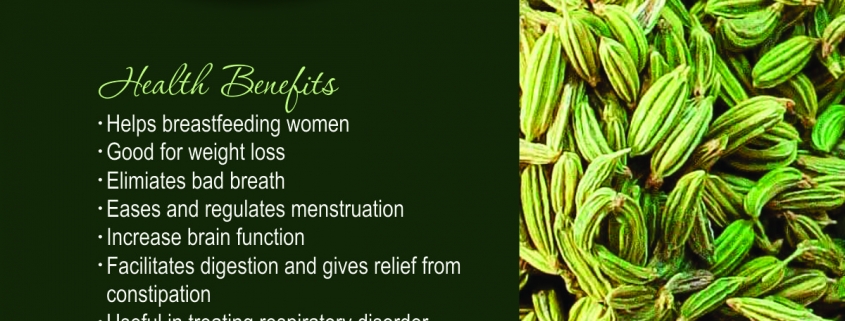 Fennel Seeds