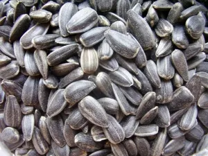 Sunflower Seeds